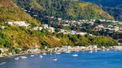 Фото - Доминика и Сент-Китс и Невис принимают заявки на гражданство онлайн