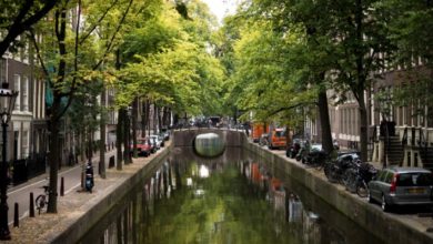 Фото - В Нидерландах собственников ограничат в возможности повышать арендную плату